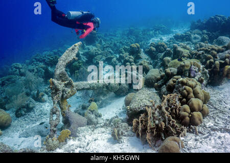 Anchor scena sulla barriera corallina bonaire Foto Stock