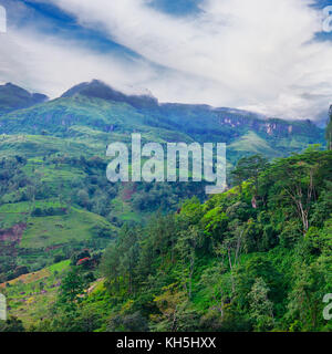 Montagna ricoperta di foresta tropicale nella parte centrale dello Sri lanka. Foto Stock