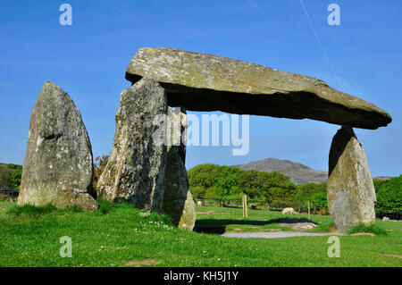 Camera di sepoltura di Pentre Ifan, monumento megalitico eretto in età neolitica.3500BC. Portal Dolmen tipo Tomb.nr Newport, Pembrokeshire, Wales.UK Foto Stock