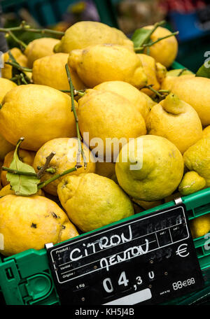 Limoni venduto su un mercato a Menton, Francia Foto Stock