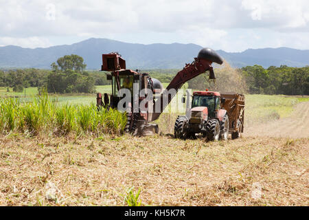 La canna da zucchero raccolta. ottobre. abbassare daintree. queensland. Australia. Foto Stock