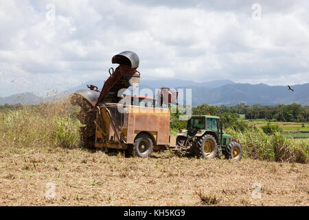 La canna da zucchero raccolta. ottobre. abbassare daintree. queensland. Australia. Foto Stock