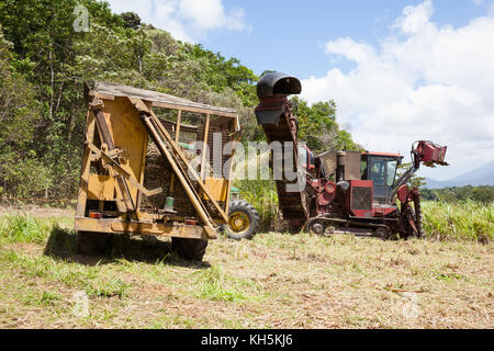 La canna da zucchero raccolta. ottobre. abbassare daintree. queensland. Australia. Foto Stock