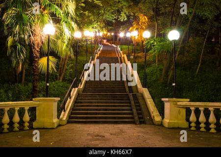 Vista notturna di illuminato ad alta scalinata cinto da boschetto di alberi differenti su tonnelnaya street, Sochi, Russia Foto Stock