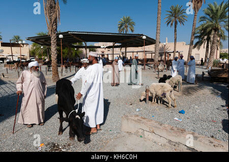 Nizwa mercato del bestiame, Oman. Foto Stock