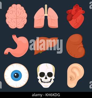 Icona piatta insieme di organi umani. illustrazione vettoriale in formato eps10 Illustrazione Vettoriale