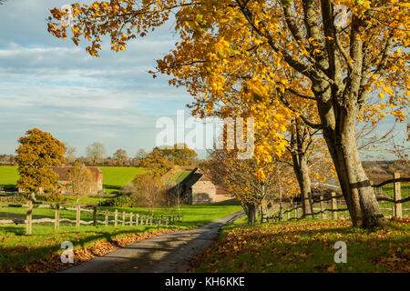 Pomeriggio autunnale nel west sussex campagna, Inghilterra. Foto Stock