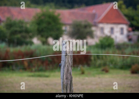 Kloster Michaelsteil Blankenburg Harz Foto Stock