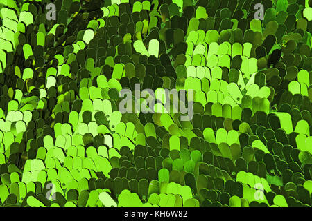 Spangle, sequin pailette sfondo. Abito a specchio panno di materiale modello di texture. Sartoria concetto di cucitura. Shiny specchiata tessuto di moda. Shiny cl Foto Stock