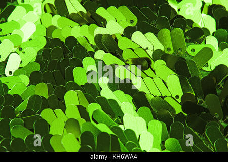 Spangle, sequin pailette sfondo. Abito a specchio panno di materiale modello di texture. Sartoria concetto di cucitura. Shiny specchiata tessuto di moda. Shiny cl Foto Stock