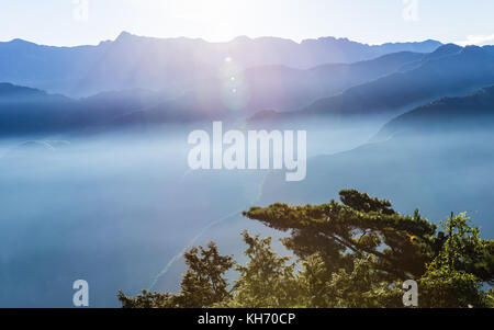 Fumoso montagne blu di Zhushan all'interno Alishan Recreation Area di Taiwan coperti dalla nebbia durante il sorgere del sole al mattino con un luminoso cielo d'inverno. Foto Stock