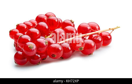 Organici di grappolo di ribes rosso isolato su sfondo bianco Foto Stock