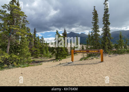 Segno per carcross desert impostato in una zona sabbiosa circondata da alberi di conifere con le montagne sullo sfondo. Yukon Territory, Canada settentrionale. Foto Stock