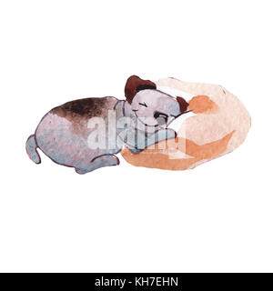 Jackrussel terrier cucciolo di cane del disegno a mano illustrazione ad acquerello Foto Stock