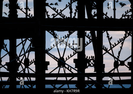 Aberystwyth Wales UK, mercoledì 15 novembre 2017 uk meteo: al tramonto su una mite serata di Novembre in Aberystwyth, migliaia di storni in picchiata in fantastiche 'murmurations' nel cielo sopra la città , prima di scendere a stabilirsi in masse chattering sulle gambe di della città in epoca vittoriana il molo sul mare. Gli uccelli poi huddle insieme per il calore e la sicurezza sulle travi e travi sotto i pavimenti del molo foto © keith morris / alamy live news Foto Stock