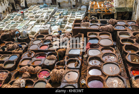 La conceria di Fez, Marocco Foto Stock