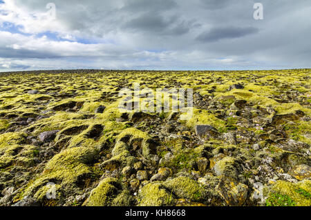 Moss paesaggio coperto con vista lontano all orizzonte e nuvole. Foto Stock