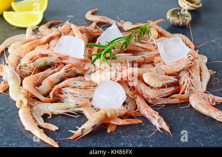 Materie locali di gamberi con cubetti di ghiaccio su un grigio Sfondo astratto. Foto Stock
