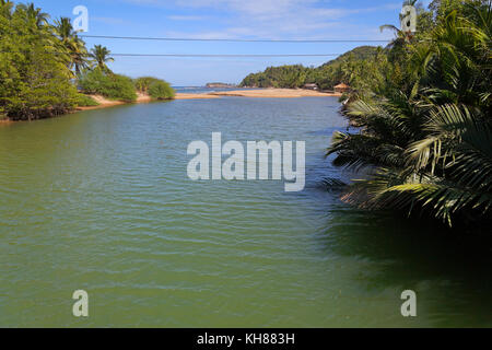 Foce in Coron, Filippine Foto Stock