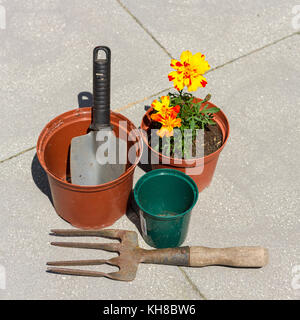 Vasi per piante, utensili da giardinaggio & french calendula fiori in un vaso, girato da sopra Foto Stock