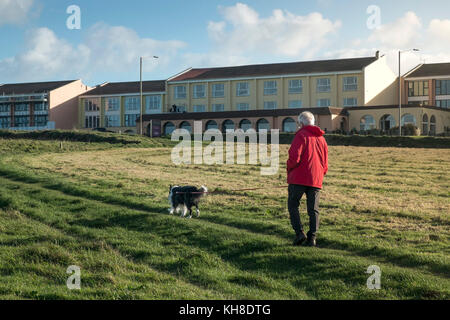 Un dog walker sulla costa sud ovest percorso in corrispondenza Whipsiddery in Newquay Cornwall Regno Unito. Foto Stock