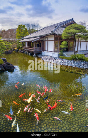 Giappone, himeji city,kouko en giardino, il castello di Himeji giardino.Caption locale *** Architettura, famoso, pesce, giardino, Himeji, il castello di Himeji giardino, histo Foto Stock