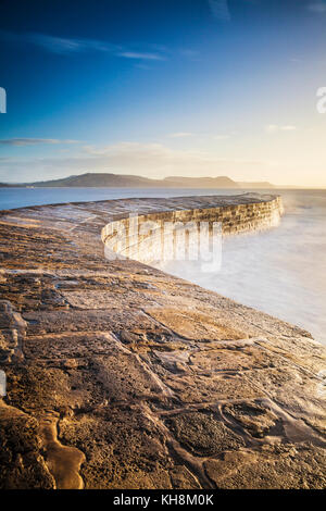 Sunrise oltre il Cobb a Lyme Regis nel Dorset. Foto Stock