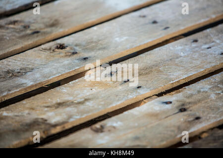 Texture in legno piano vecchi pannelli Foto Stock