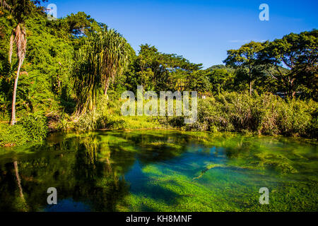 Giamaica acque tropicali paradiso verde Foto Stock