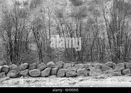 Alberi coperti di trasformata per forte gradiente frost accanto al fiume Isonzo nei pressi di tolmezzo in Italia. Foto Stock