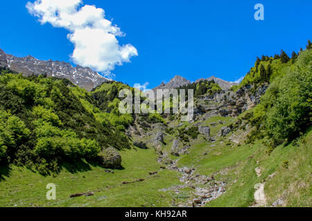 Splendido paesaggio montano dell'Austria Foto Stock