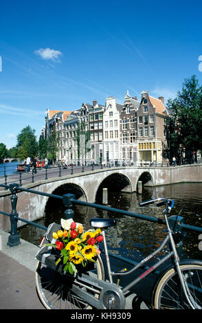 I Tulipani di Amsterdam Olanda Foto Stock