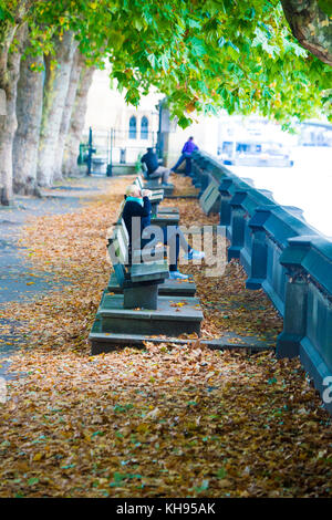 Autunno a Embankment Gardens oggi. Foto JEREMY SELWYN 11/10/2017 Credit: Evening Standard Foto Stock