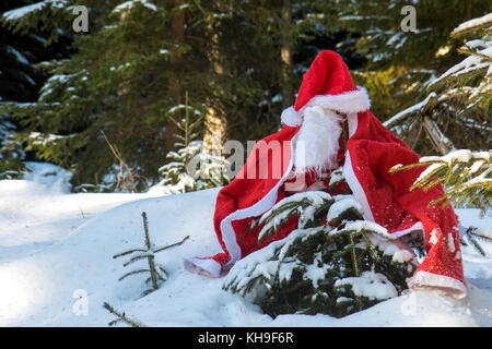 Il santa claus costume con barbe si blocca su abete rosso in inverno foresta. un piccolo albero in una foresta innevata è coperto di santa claus vestiti. Cristo Foto Stock