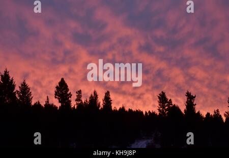 La mattina presto sunrise al di sopra della foresta Foto Stock