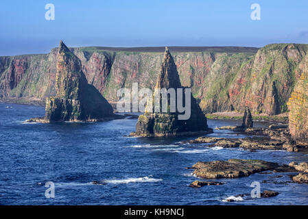 Duncansby pile, pinnacoli di roccia a sud di testa duncansby vicino a John O' semole, caithness, highland, Highlands scozzesi, Scotland, Regno Unito Foto Stock