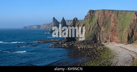 Duncansby pile, pinnacoli di roccia a sud di testa duncansby vicino a John O' semole, caithness, highland, Highlands scozzesi, Scotland, Regno Unito Foto Stock