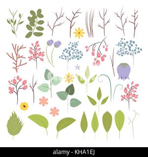 Set di vettore di piante e fiori ed erbe aromatiche. Illustrazione Vettoriale