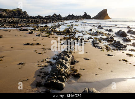 Hartland quay, hartland, Devon, Inghilterra, Gran Bretagna Foto Stock