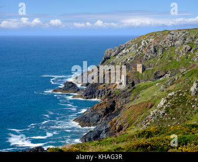 Costa rocciosa con ruderi, ex miniera, vecchia miniera di stagno, botanico miniera di lacca, Sant just in penwith, Cornwall, Inghilterra, Gran Bretagna Foto Stock