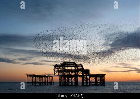 Murmuration sopra le rovine di brighton il molo ovest sulla costa meridionale dell'inghilterra. Un gregge storni eseguire acrobazie aeree sul molo al tramonto. Foto Stock