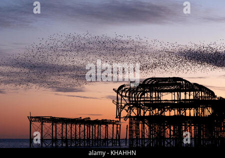 Murmuration sopra le rovine di brighton il molo ovest sulla costa meridionale dell'inghilterra. Un gregge storni eseguire acrobazie aeree sul molo al tramonto. Foto Stock