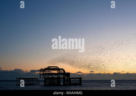 Murmuration sopra le rovine di brighton il molo ovest sulla costa meridionale dell'inghilterra. Un gregge storni eseguire acrobazie aeree sul molo al tramonto. Foto Stock