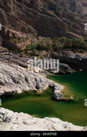 Wadi al arbeieen, Oman. Foto Stock
