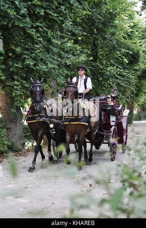 Carrozza a cavallo con il turista nel giardino di Schonbrunn, Vienna Austria 11.Luglio.2017 Foto Stock