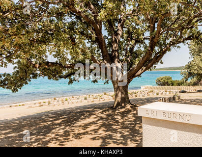 Cimitero in Spiaggia al anzac cove, in Gallipoli, Canakkale, Turchia. cimitero in Spiaggia contiene i resti delle truppe alleate che morì durante la battaglia di Foto Stock