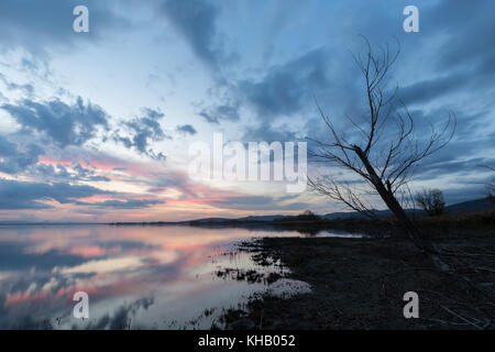 Lake Shore al tramonto, con perfetta riflessioni di alcune nuvole rosso sull'acqua e uno scheletro di albero in primo piano Foto Stock