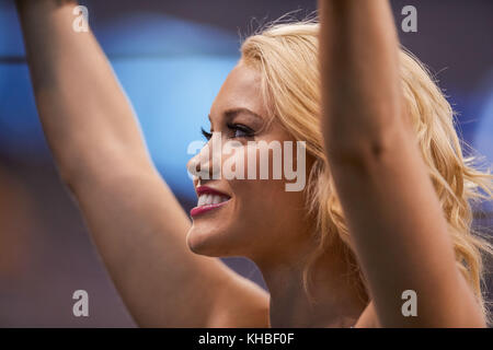 Indianapolis, Indiana, Stati Uniti d'America. Xii Nov, 2017. Novembre 12th, 2017 - Indianapolis, Indiana, Stati Uniti - Un Indianapolis Colts cheerleader esegue durante la NFL partita di calcio tra Pittsburgh Steelers e Indianapolis Colts a Lucas Oil Stadium. Credito: Adam Lacy/ZUMA filo/Alamy Live News Foto Stock