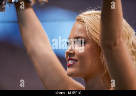 Indianapolis, Indiana, Stati Uniti d'America. Xii Nov, 2017. Novembre 12th, 2017 - Indianapolis, Indiana, Stati Uniti - Un Indianapolis Colts cheerleader esegue durante la NFL partita di calcio tra Pittsburgh Steelers e Indianapolis Colts a Lucas Oil Stadium. Credito: Adam Lacy/ZUMA filo/Alamy Live News Foto Stock