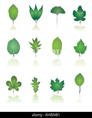 Albero di foglie e natura icone - vettore icona impostare Illustrazione Vettoriale